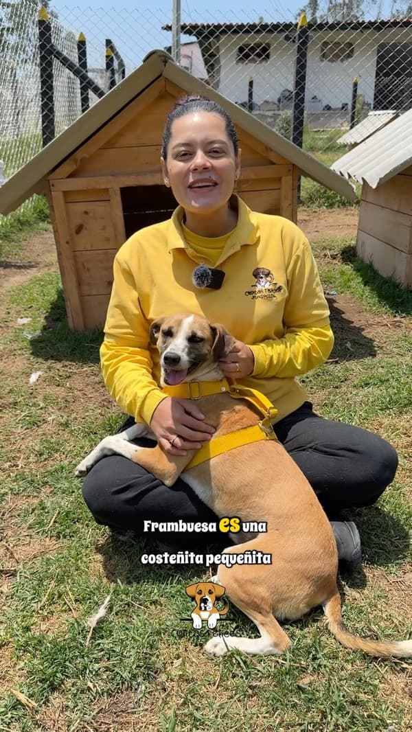 Frambuesa