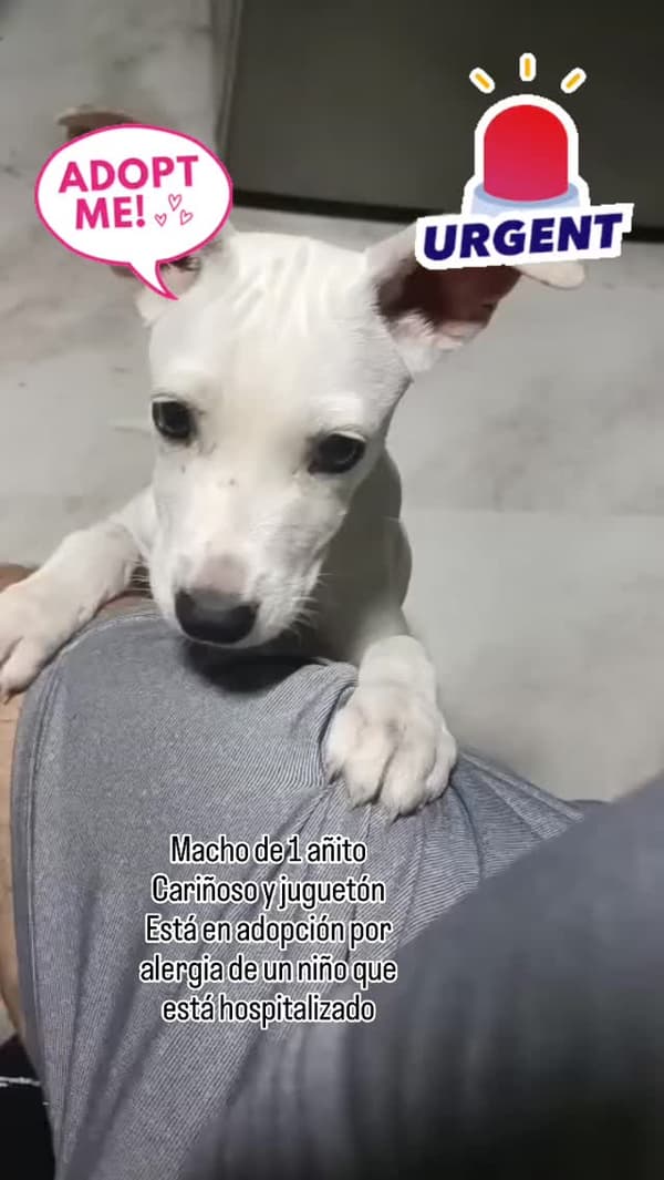 Sin nombre