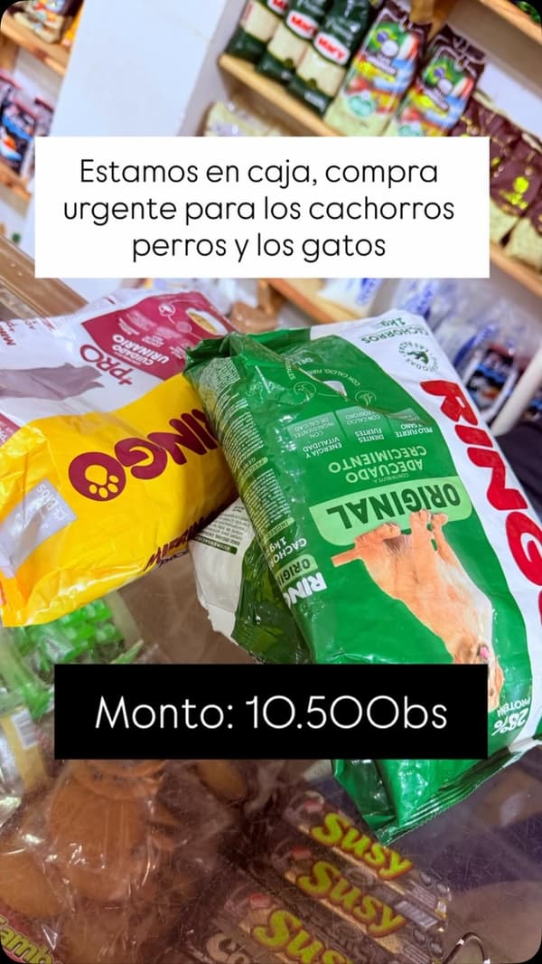 6 animalitos