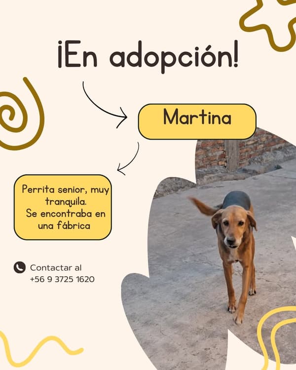 Martina