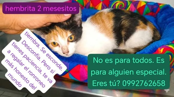 Sin nombre