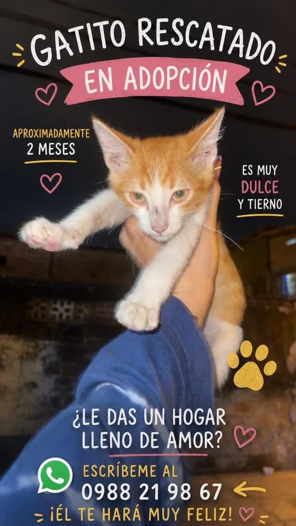 Sin nombre