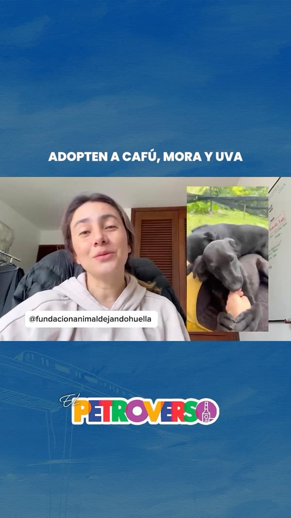 Cafú, Mora, Uva