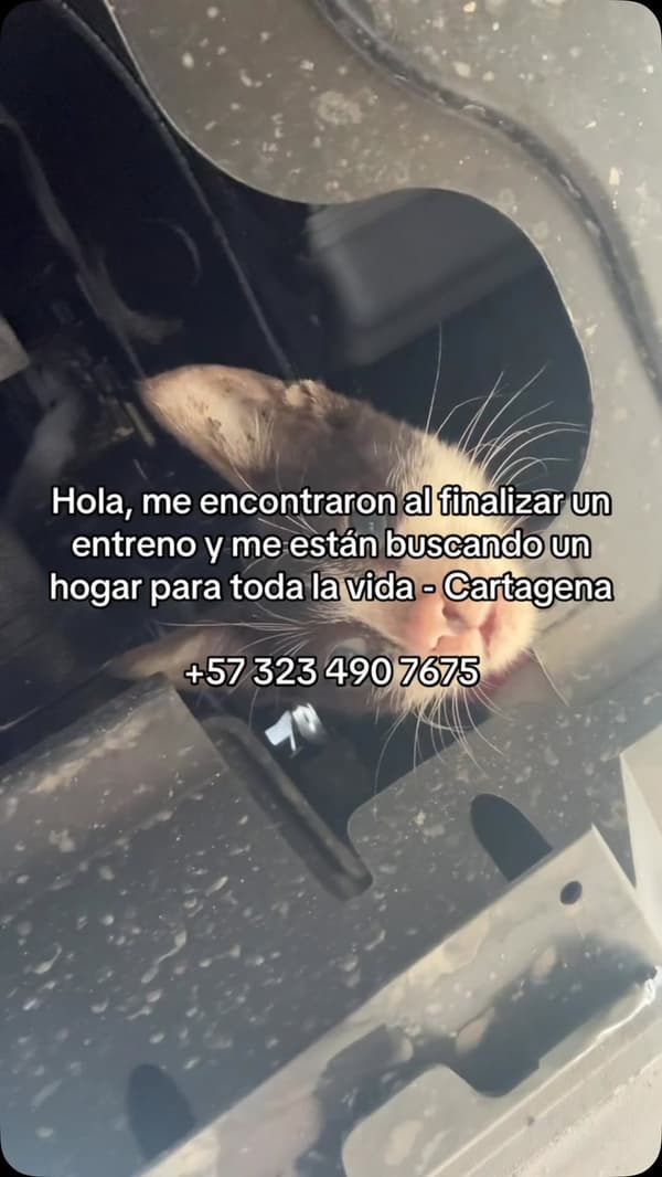 Sin nombre