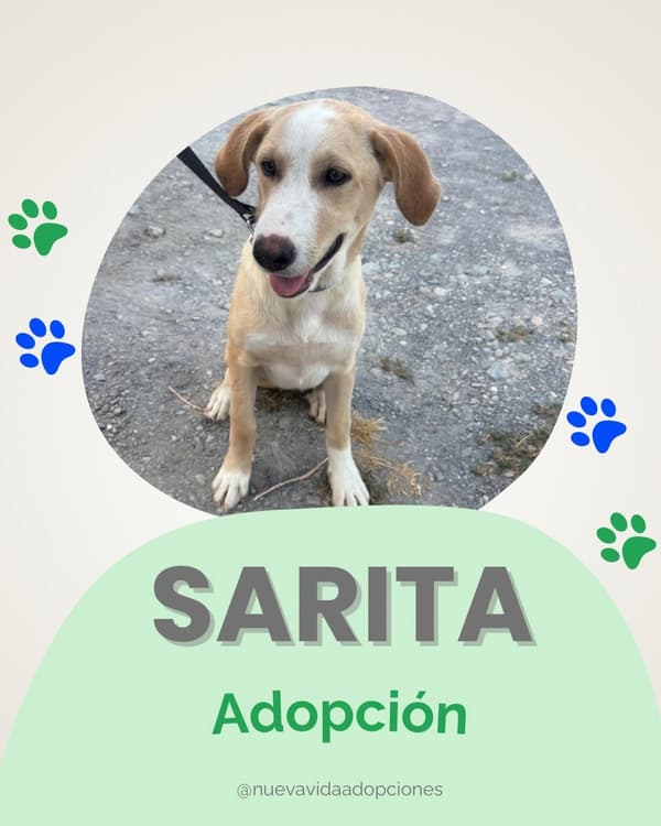 Sarita