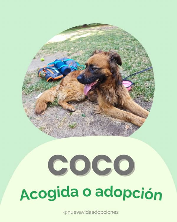 COCO