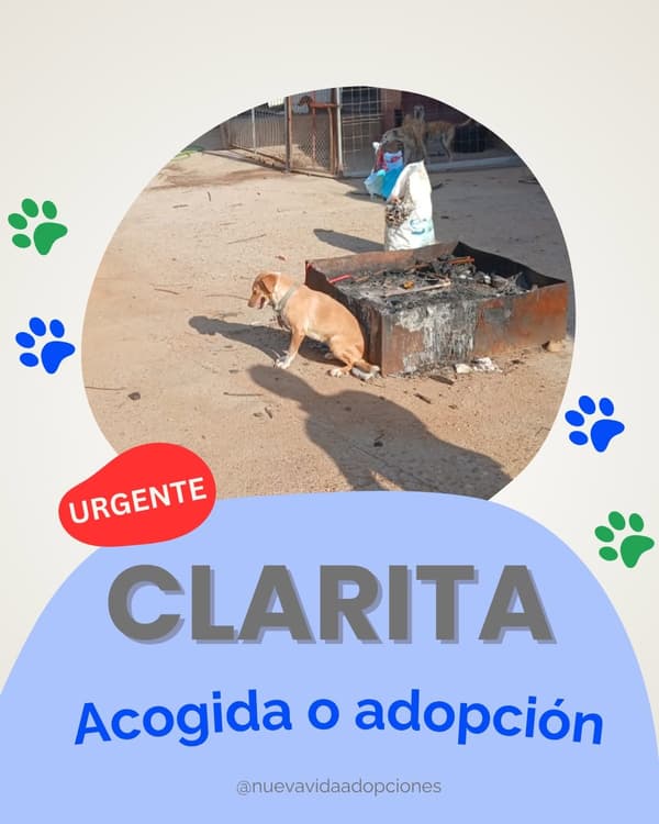 CLARITA