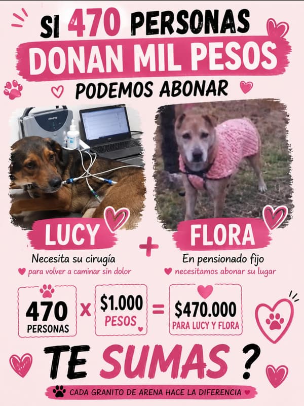 Lucy, Flora
