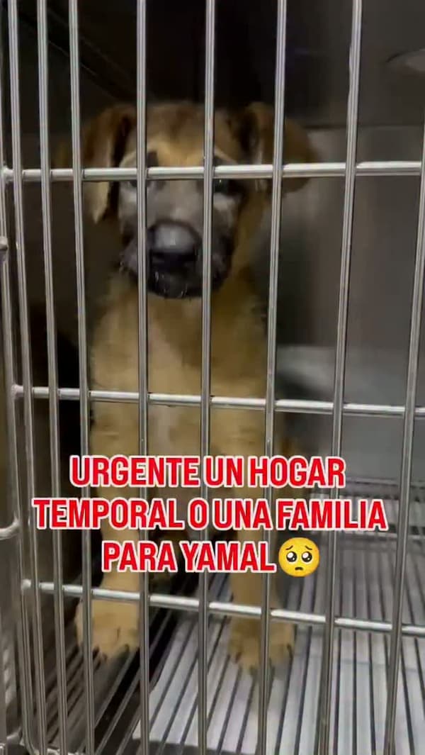 Yamal