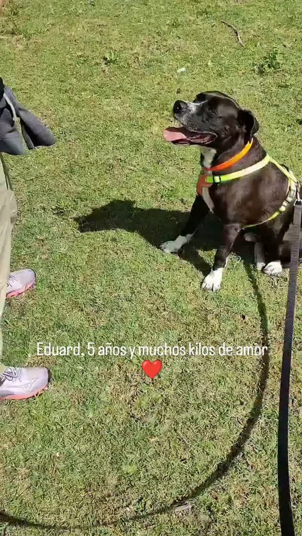 Eduard