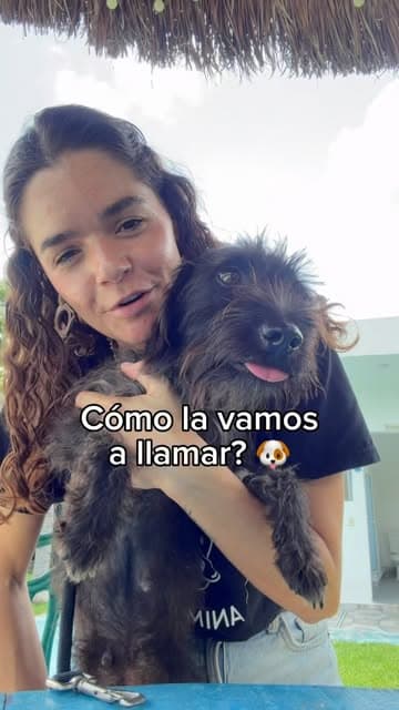 Sin nombre
