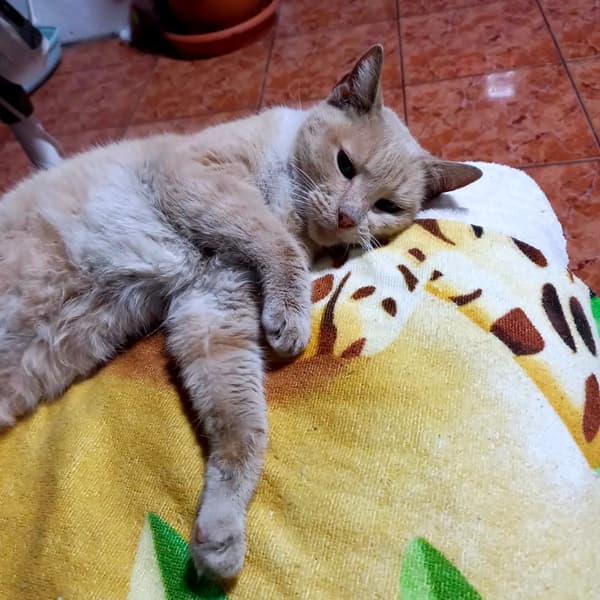 Sin nombre
