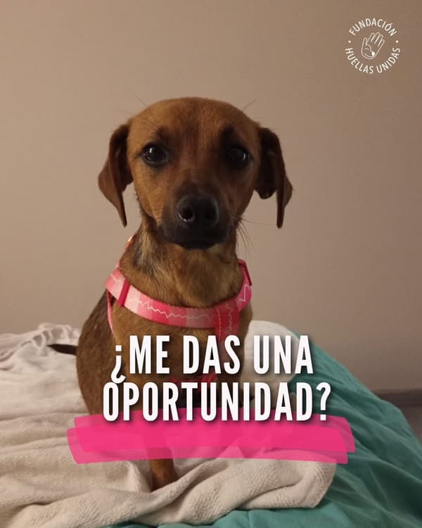 Sin nombre