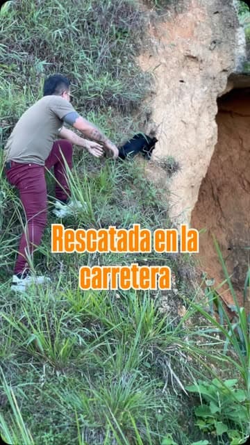 Sin nombre