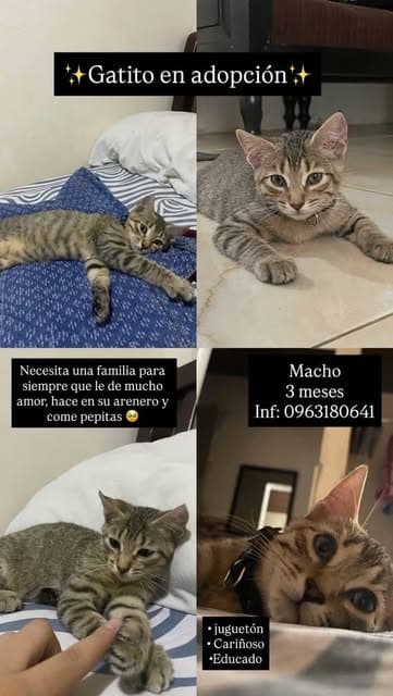 Sin nombre