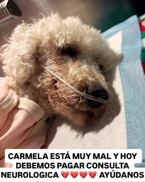 Carmela