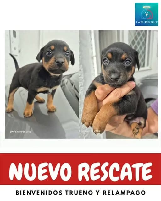Trueno, Relámpago
