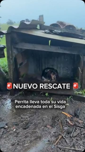 Sin nombre
