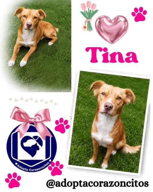 Tina