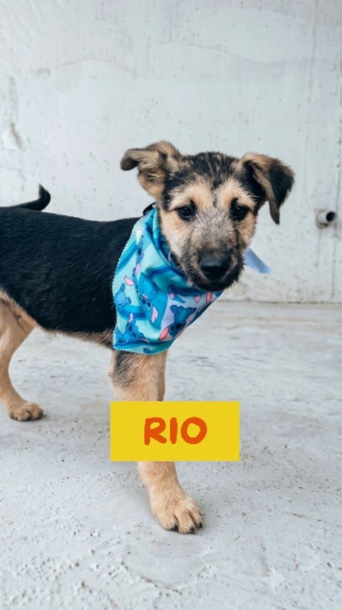 Río, Martina, Lucas +1