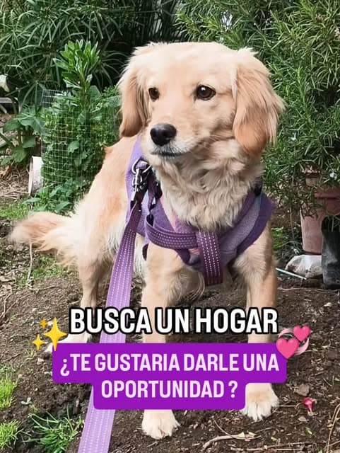 Sin nombre
