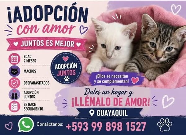 2 animalitos