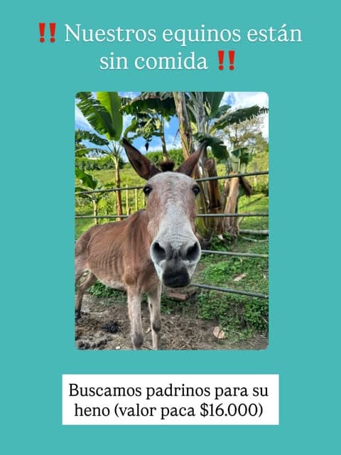 Sin nombre