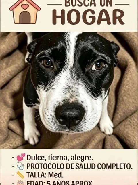 Dulce