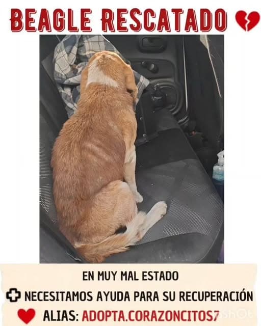Sin nombre