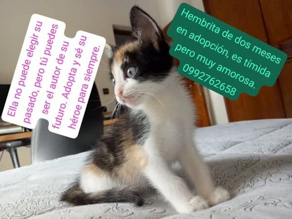 Sin nombre
