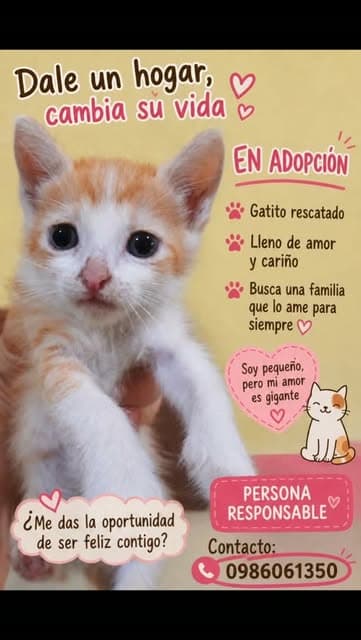 Sin nombre