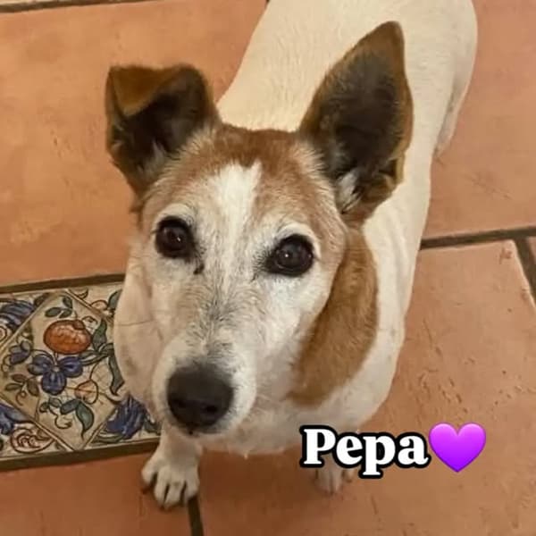 Pepa Pepita