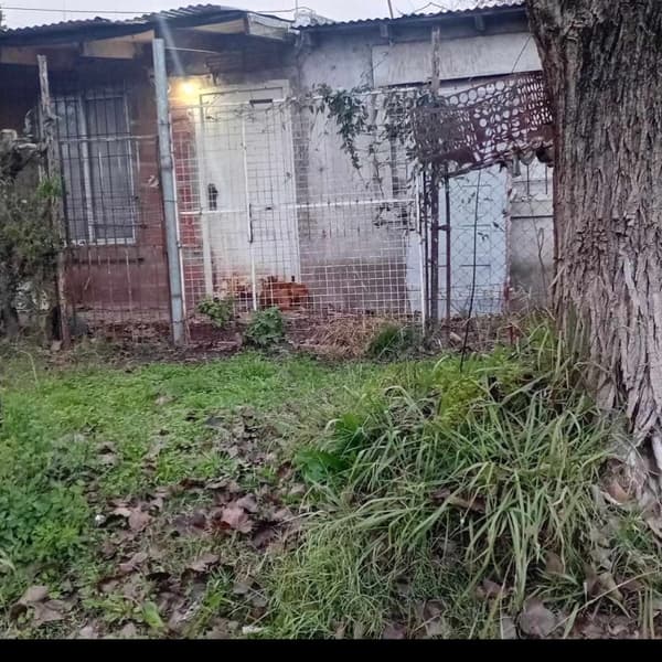 2 animalitos