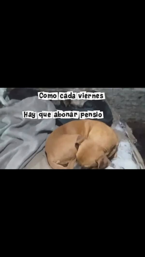 Sin nombre