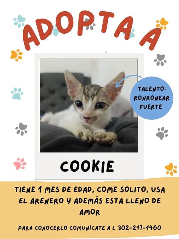 Cookie