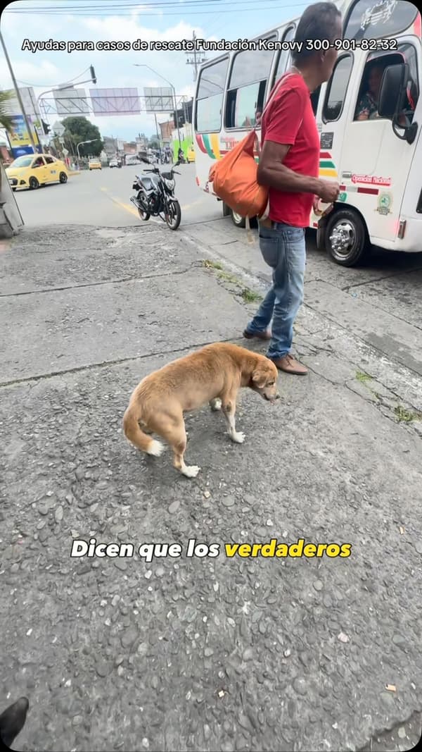 Venancio, Benjamín