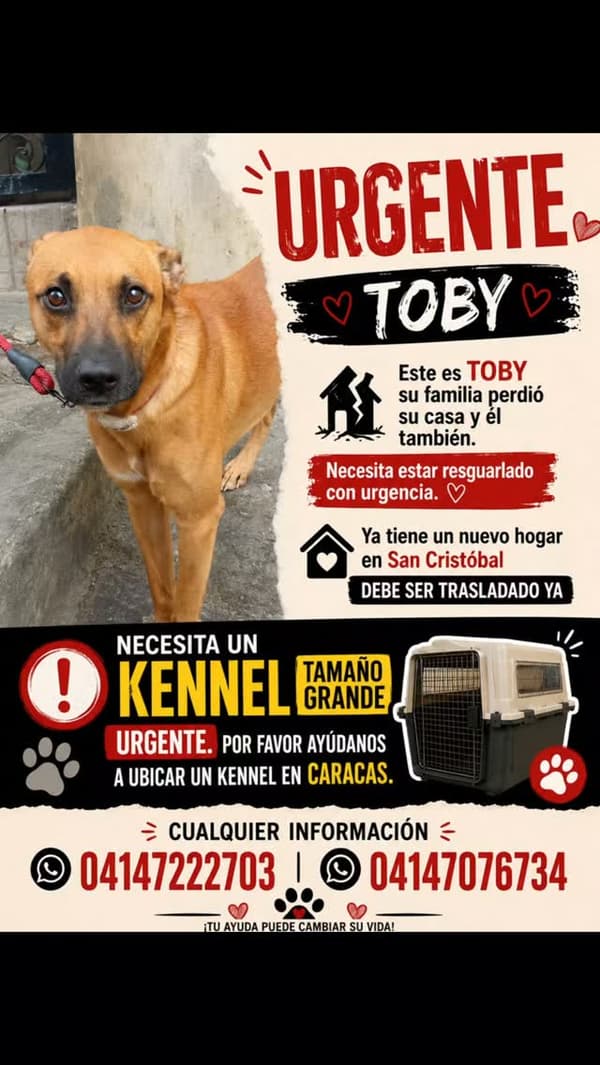 Toby