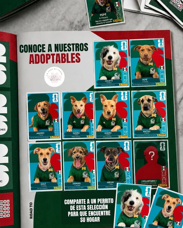 Andrés, Sole, Pepe +1