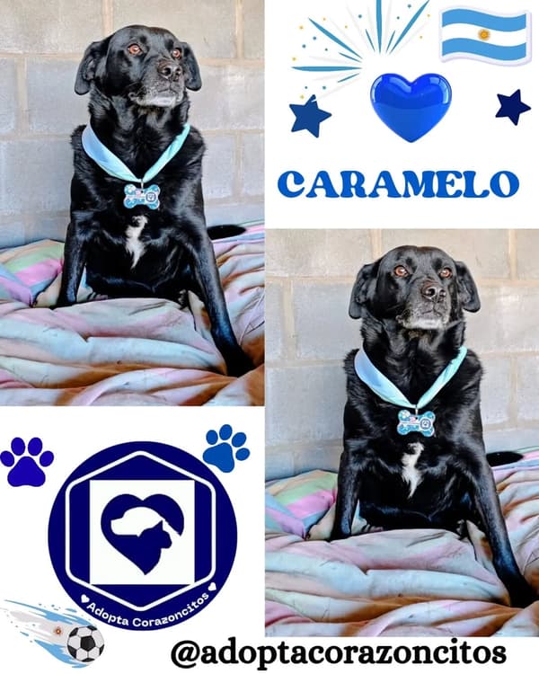 Caramelo