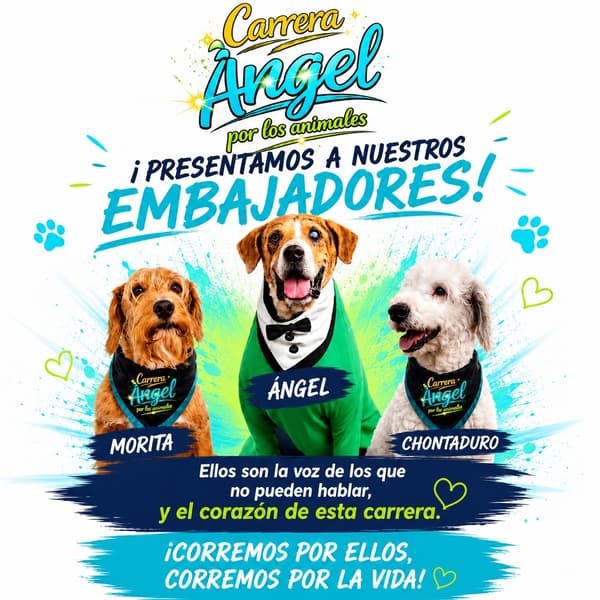 Morita, Ángel, Chontaduro