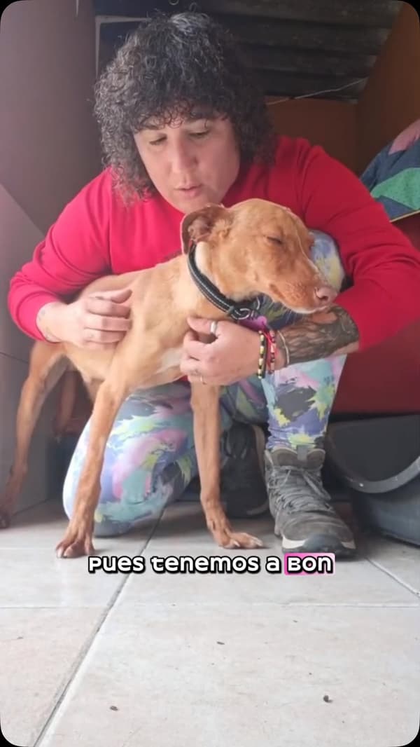 Bon