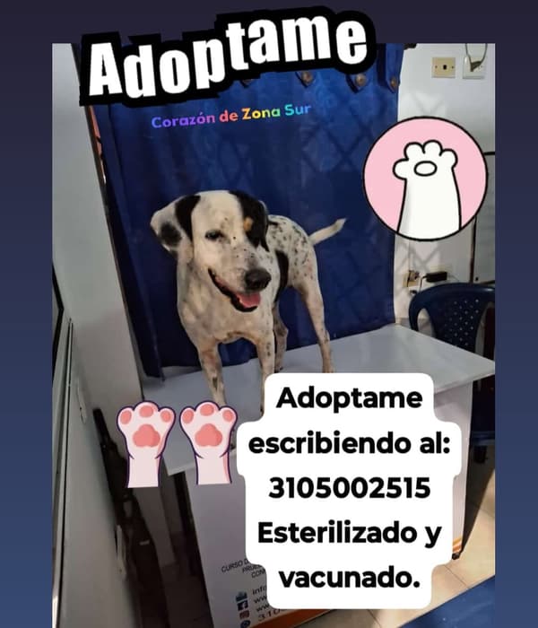 Sin nombre