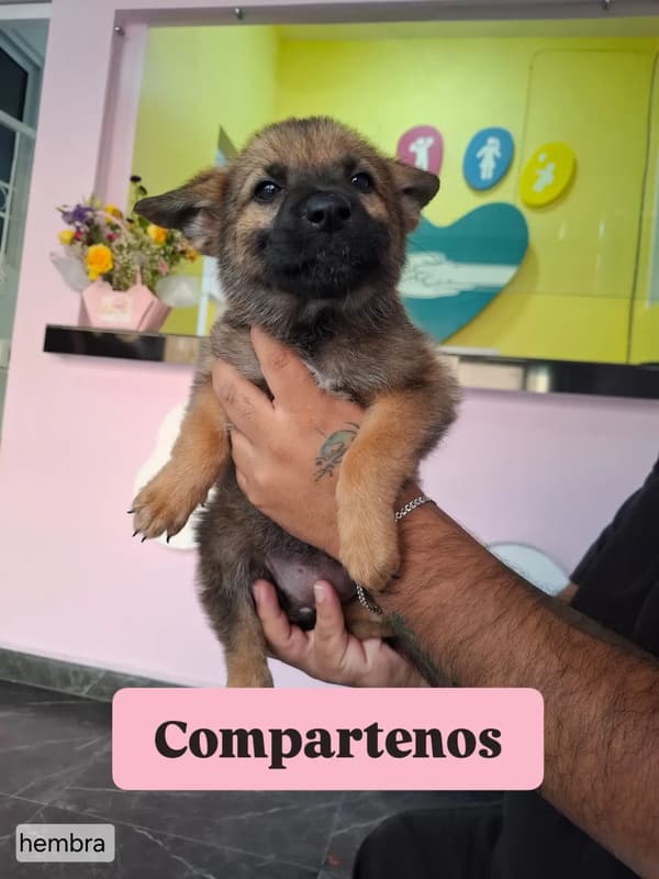 Sin nombre