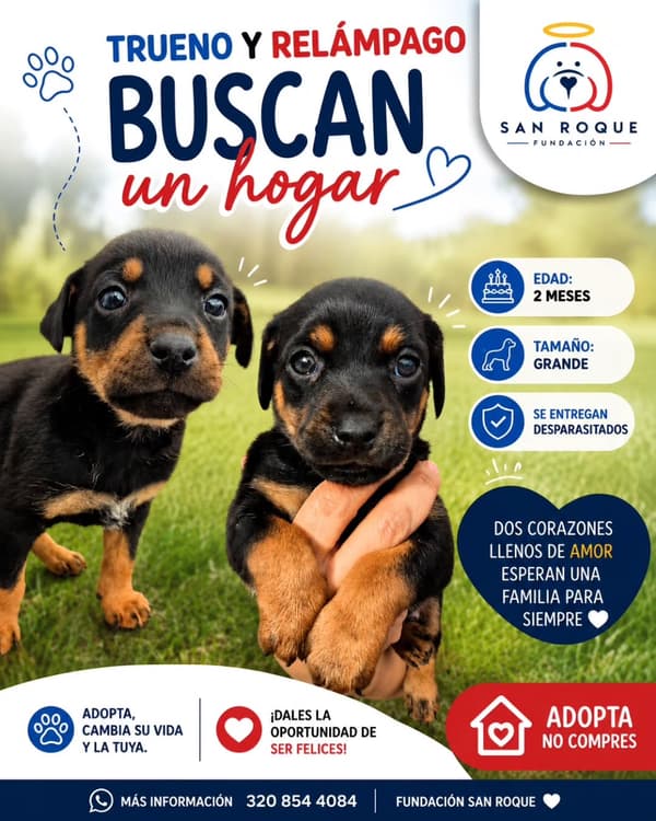 Trueno, Relámpago