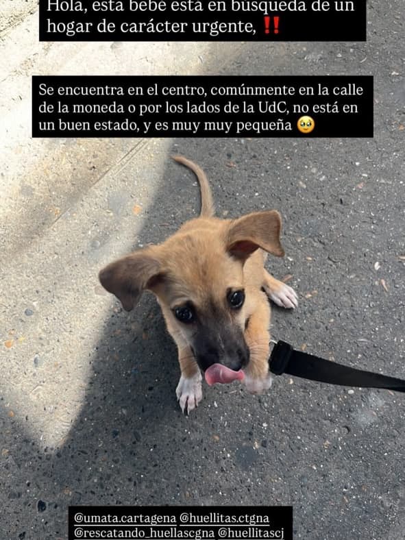 Sin nombre