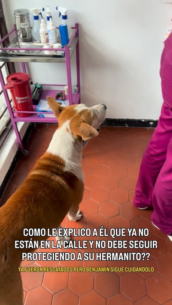 Benjamin, Venancio