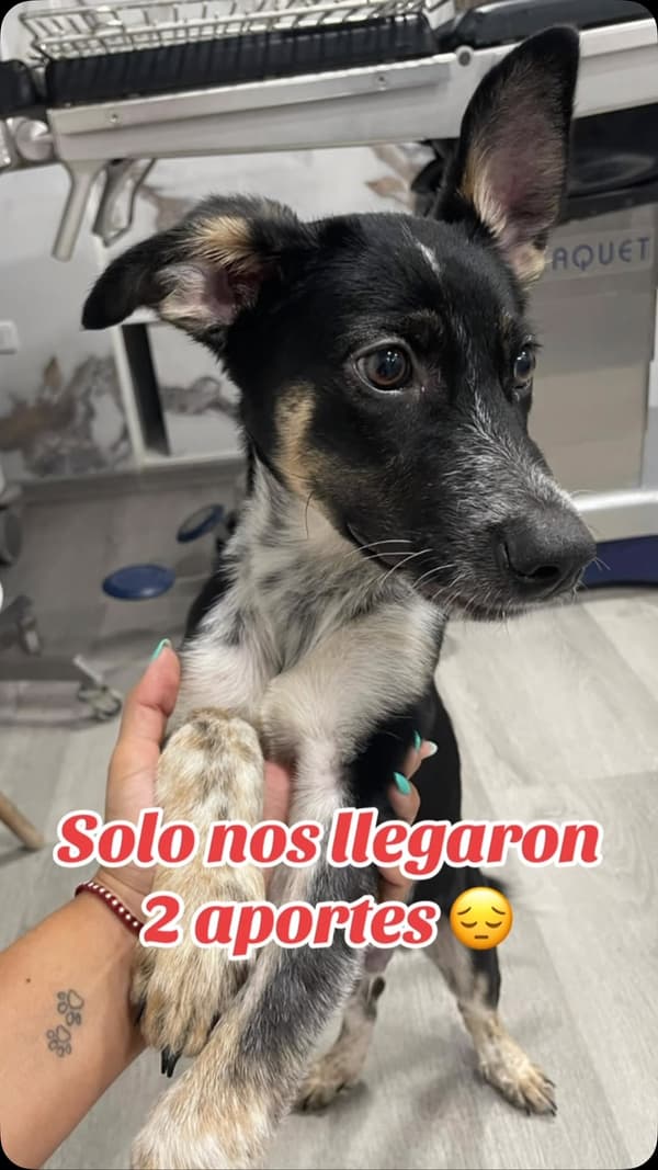 Sin nombre