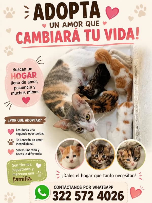 4 animalitos