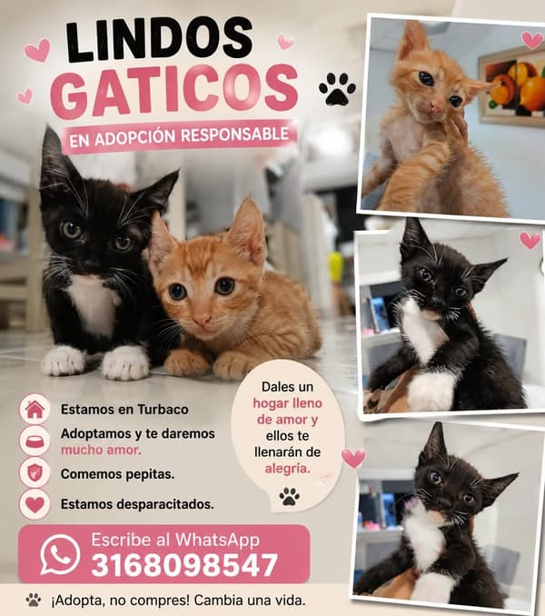 3 animalitos