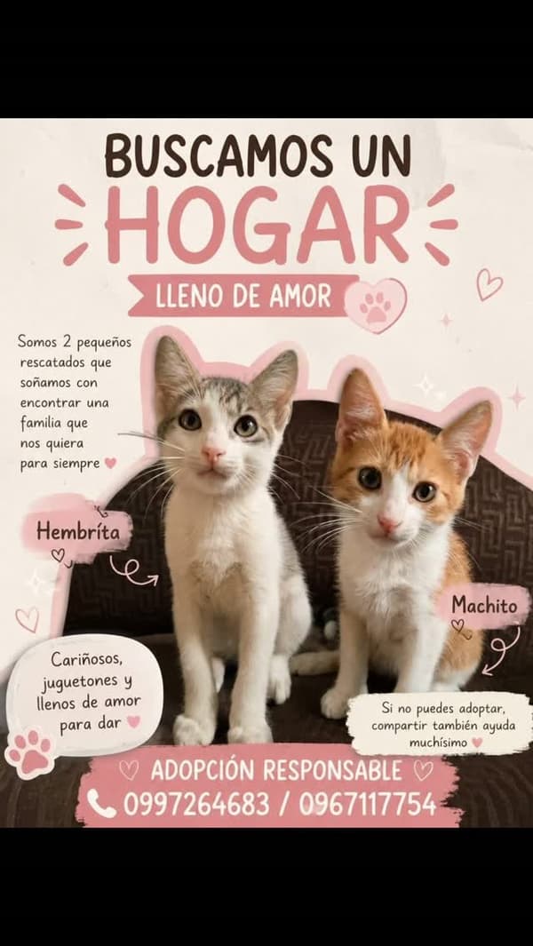 2 animalitos